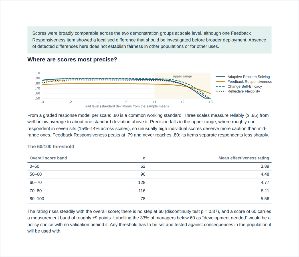 Fairness and precision findings, including differential item functioning and the warning against using a fixed cut-off (synthetic data)